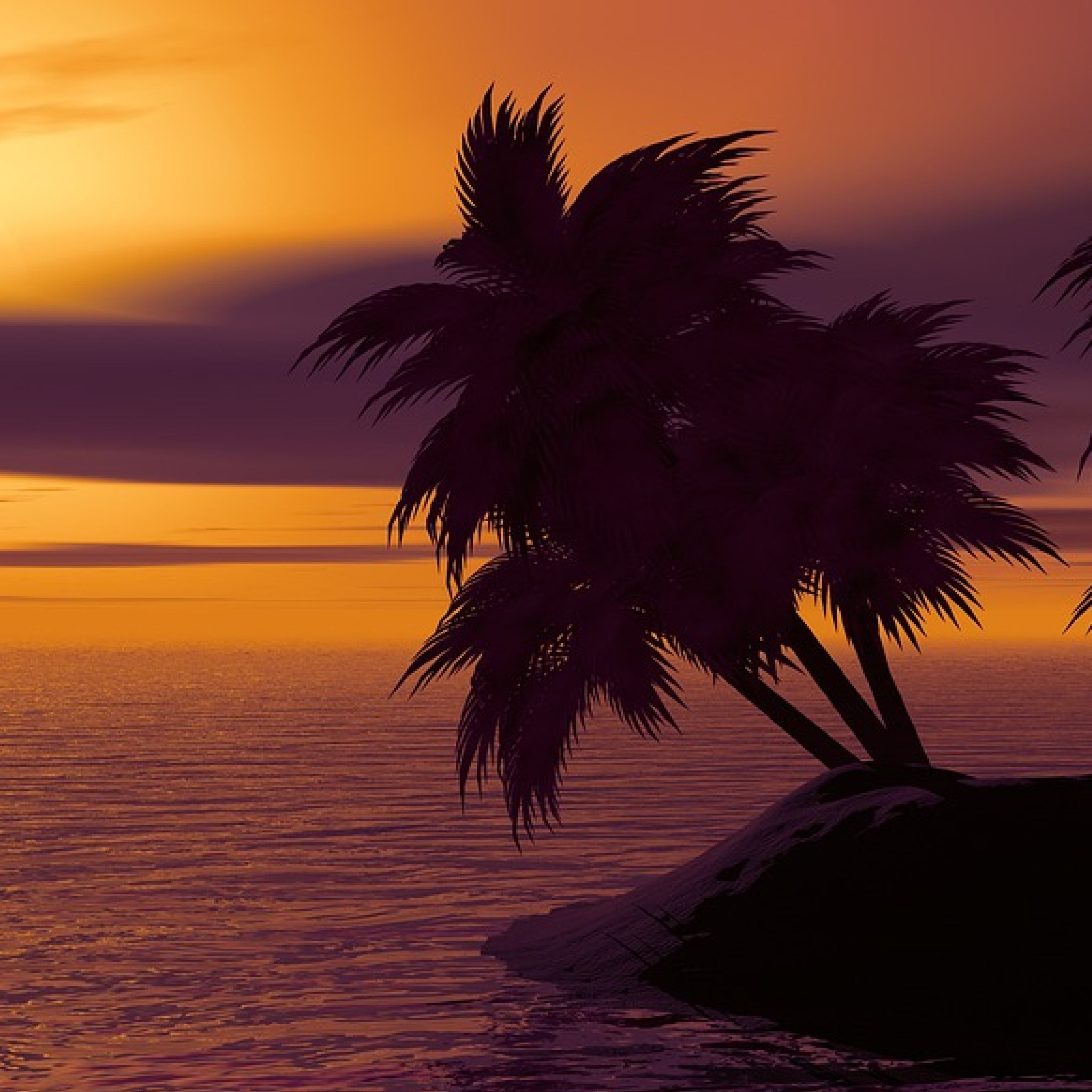 Explore Taino RDZ Perfumes Today