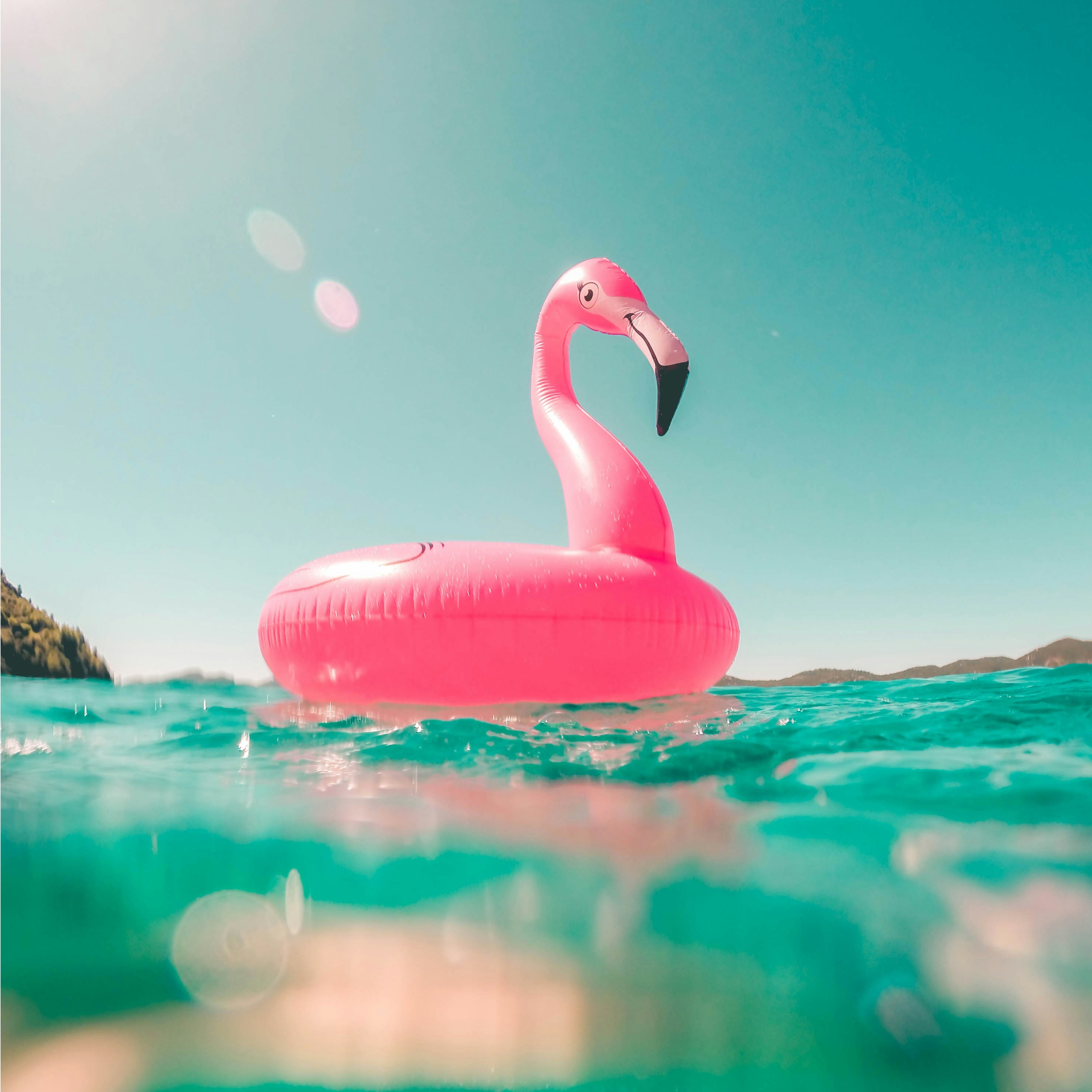 Limonata new perfume from Narcotica