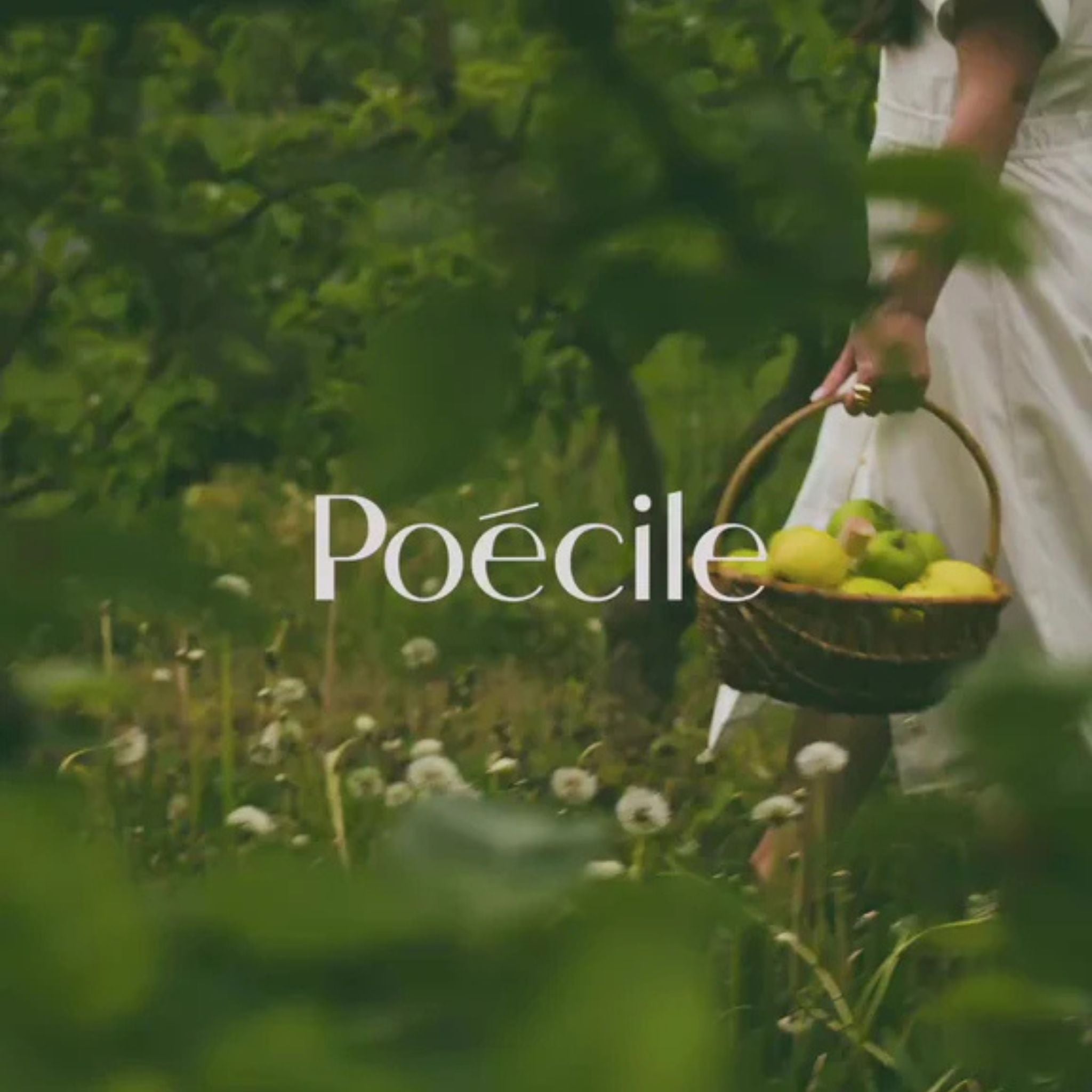 Poecile