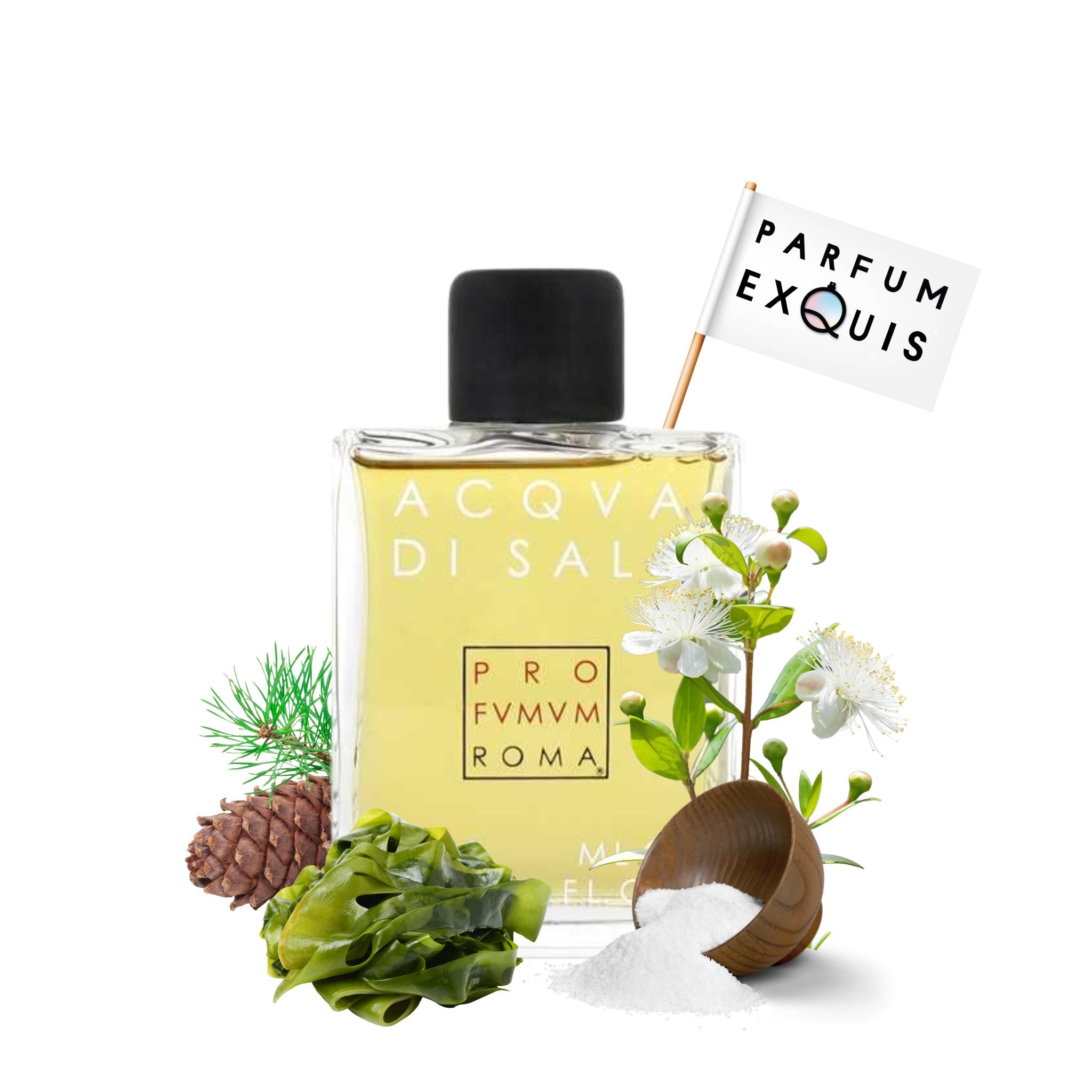 Acqua Di Sale Profumum Roma