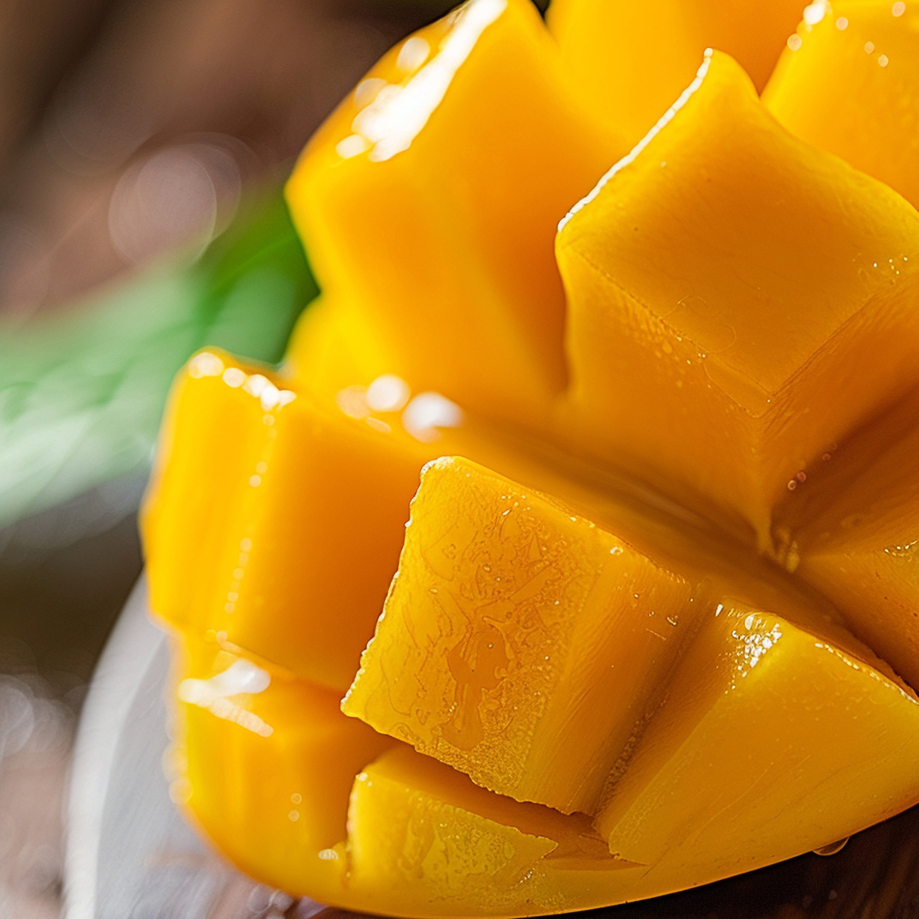 Pannaco Tahaa, Carioca Heart, Synergy Scentology Review Best Juicy Niche Perfumes 2025