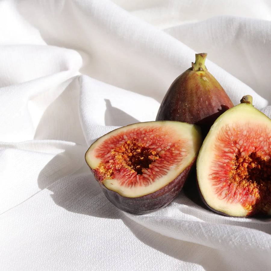 fig perfume 