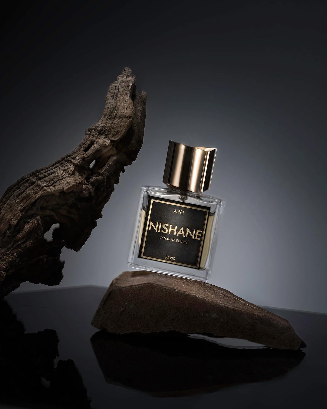 Nishane Ani perfume