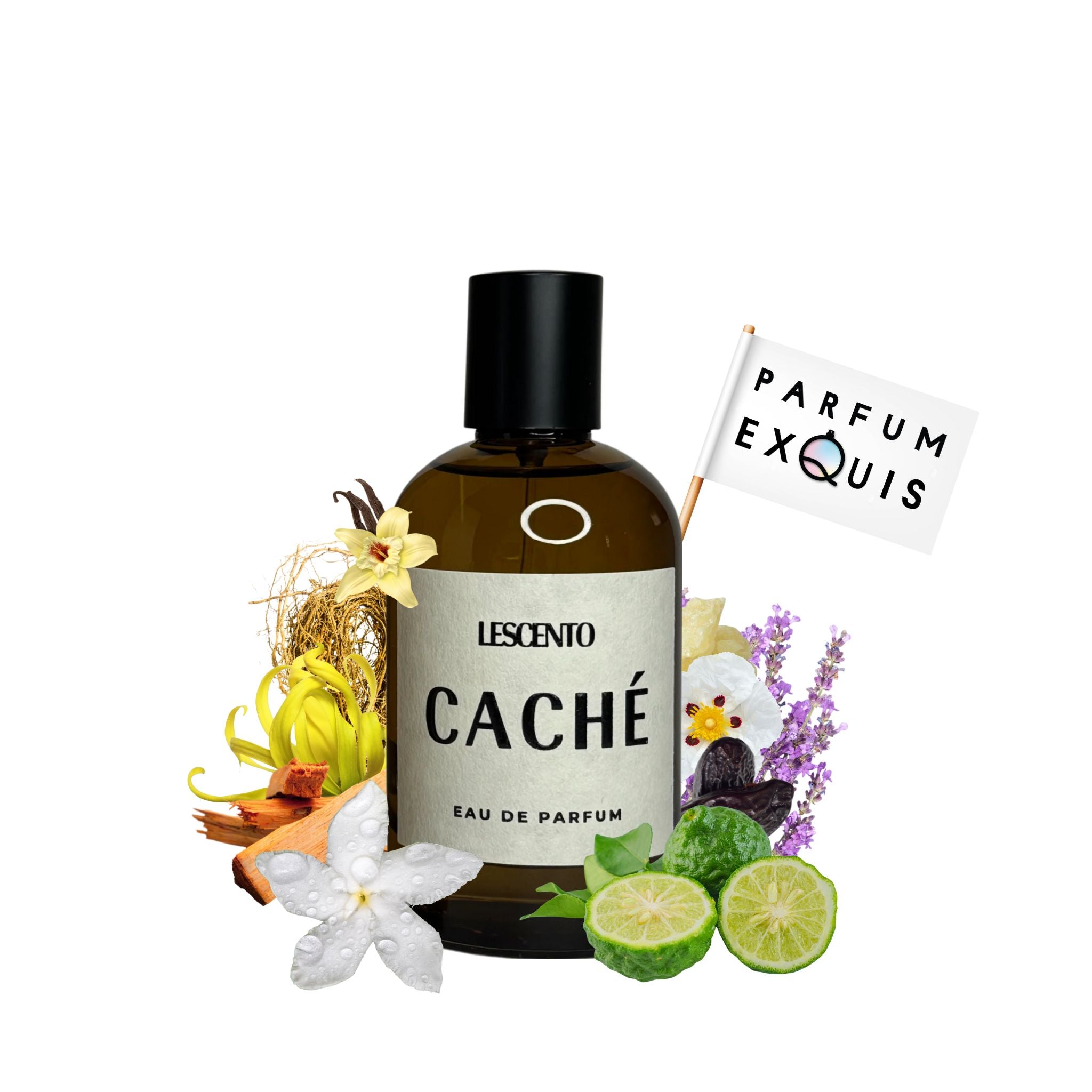 Perfume Caché Lescento