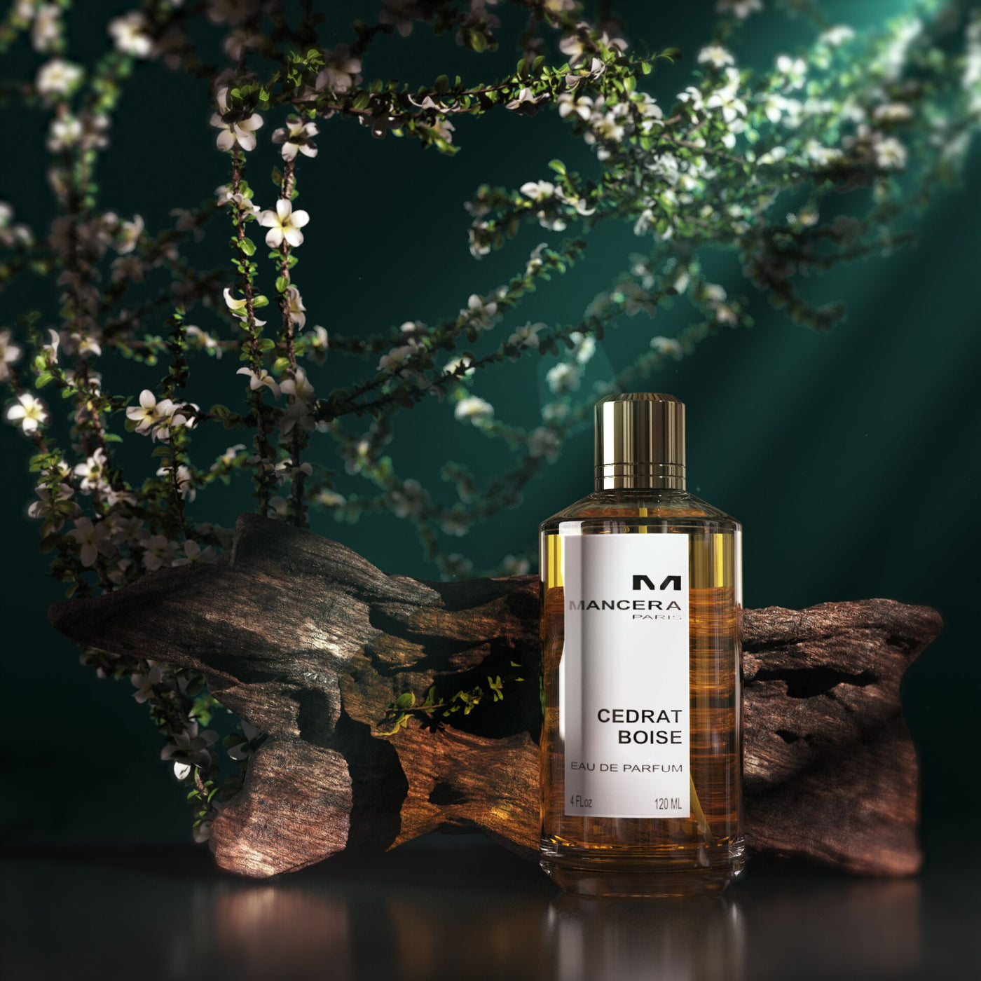 Cedrat Boise Perfume Mancera