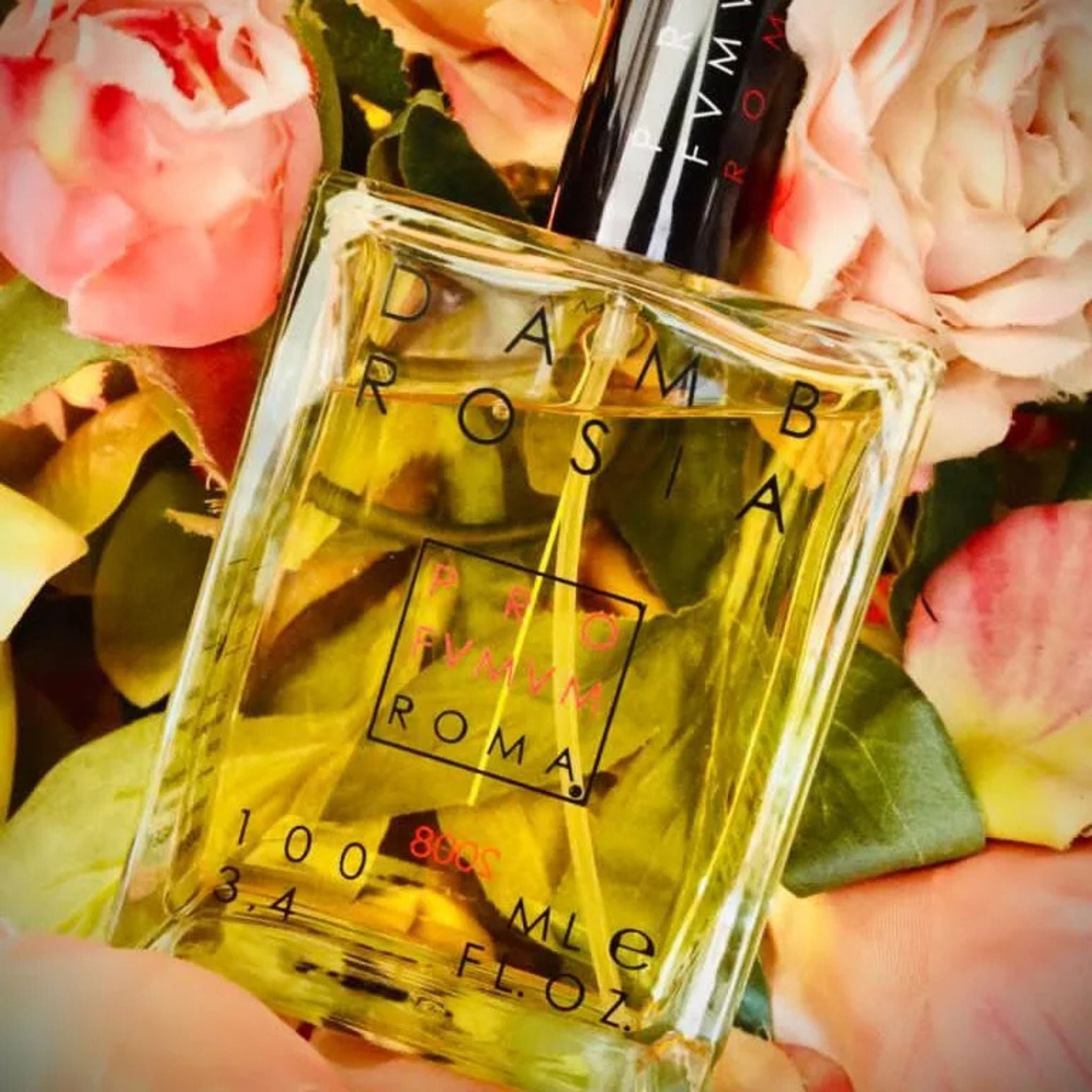 Perfume Dambrosia Profumum Roma