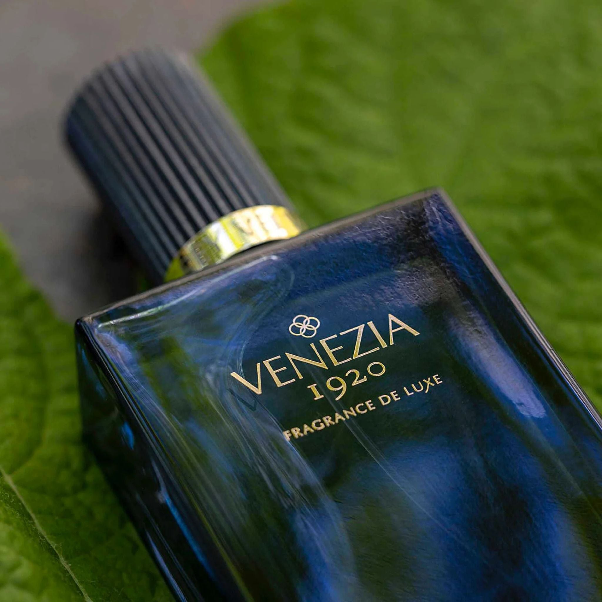 Venezia 1920 Grey Velvet Perfume