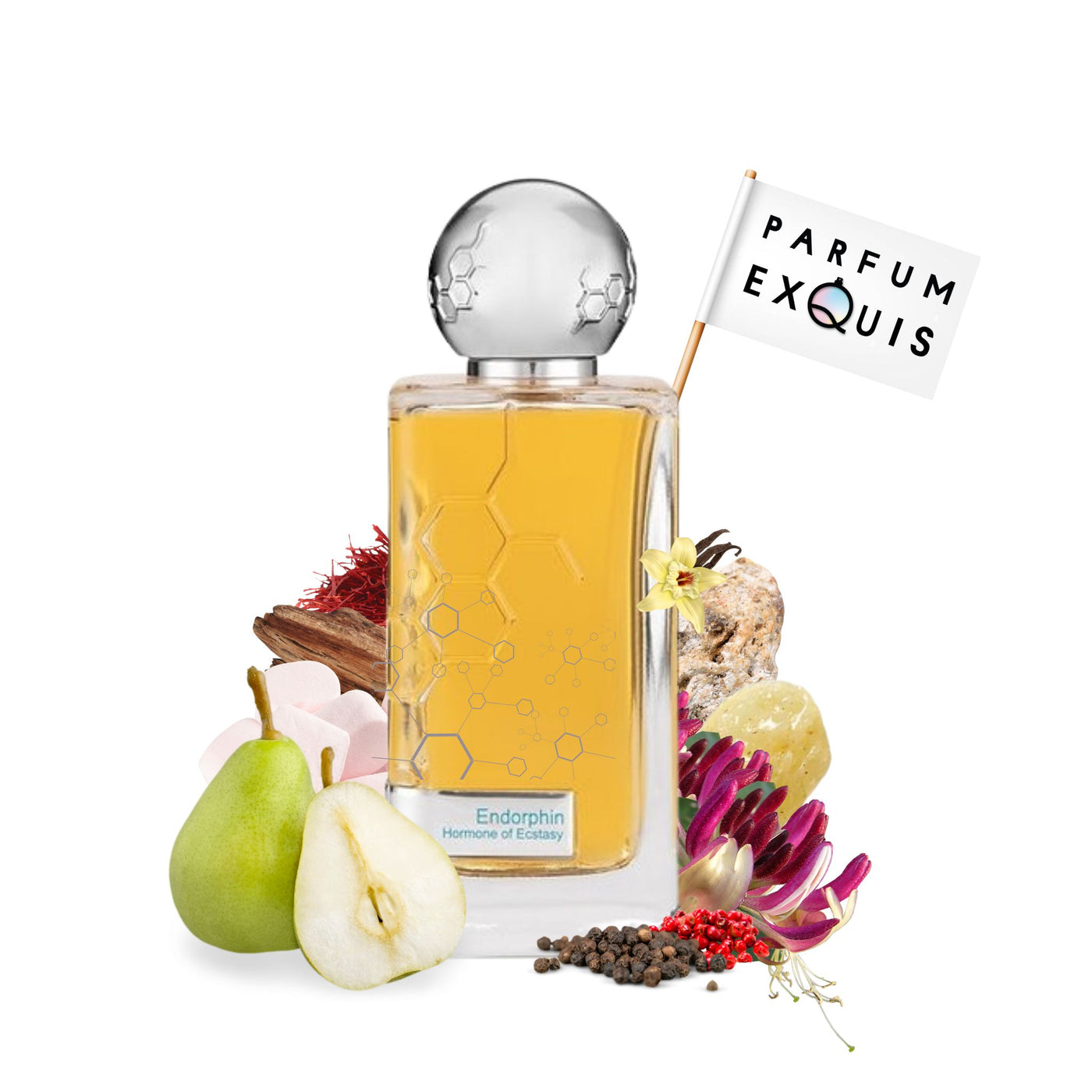 Perfume Hormone Paris Endorphin