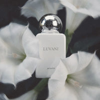 Luvani New Pernoire