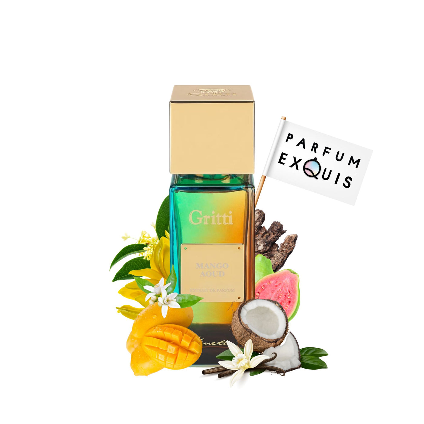 Mango Aoud Gritti  Notes