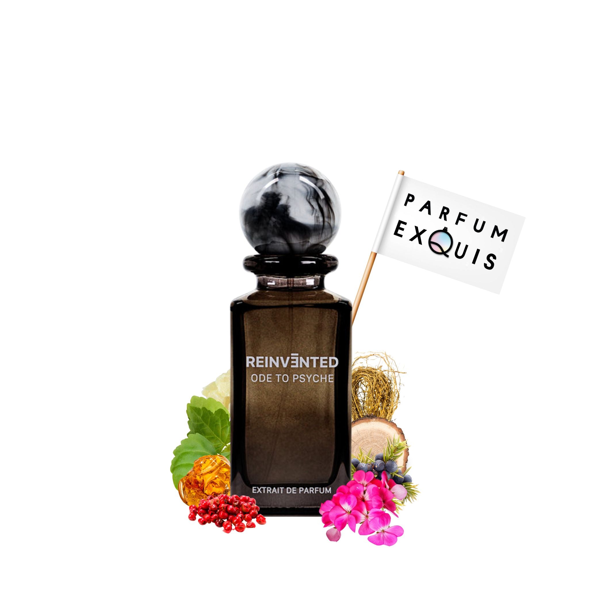 Ode To Psyche Reinvented