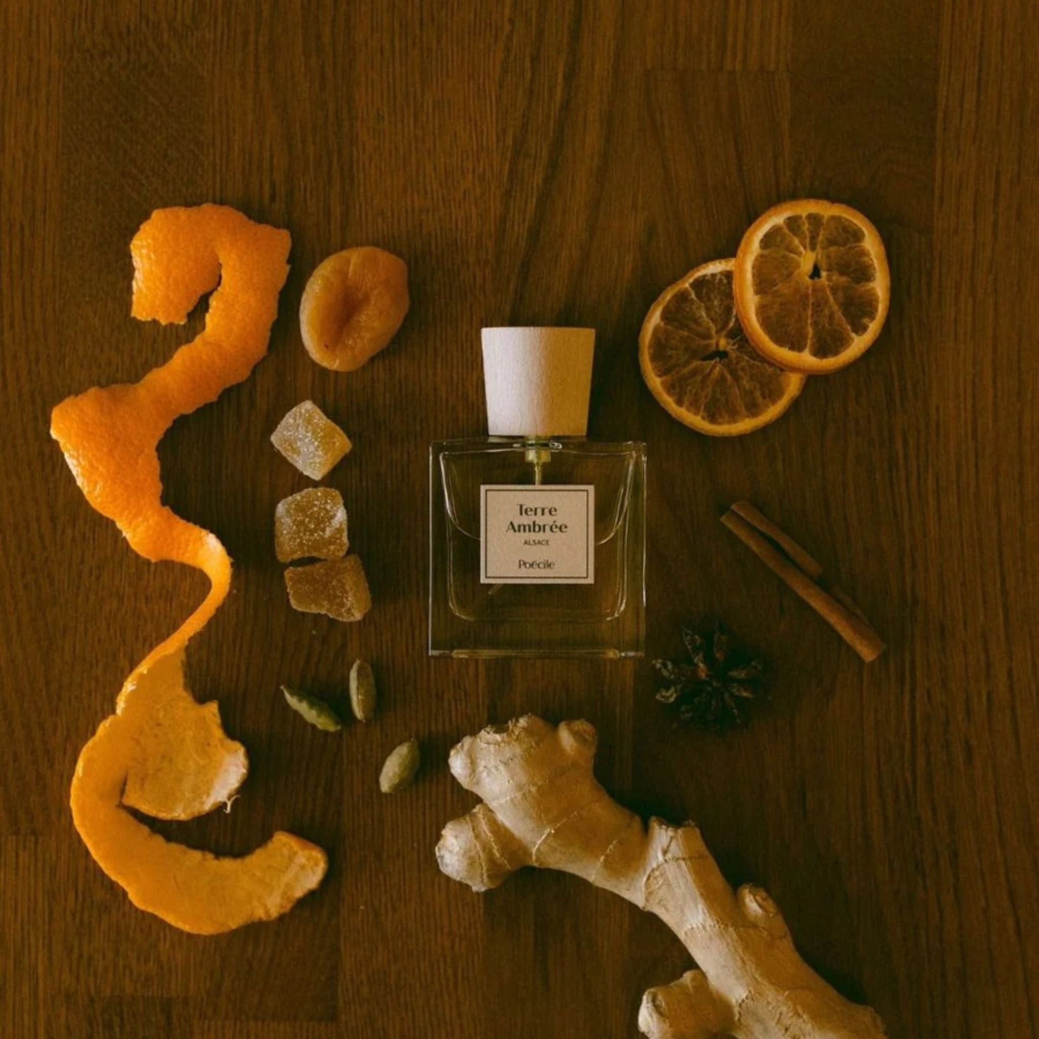 Terre Ambree Poecile Perfume