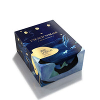 Silver Saffron Une nuit Nomade Box