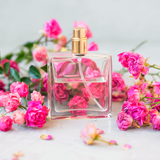 Best perfumes for summer